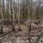 Perron 22 לינה וארוחת בוקר Vierlingsbeek