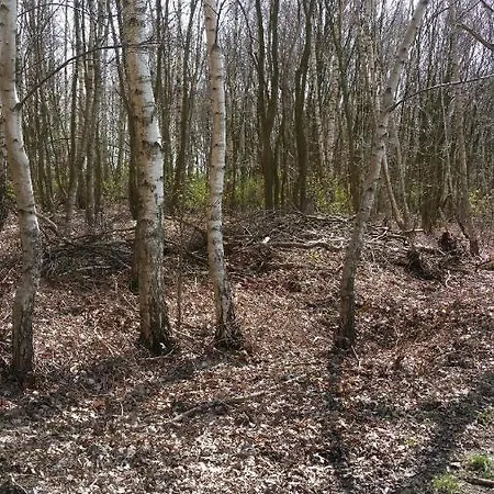 Perron 22 Nocleg ze śniadaniem Vierlingsbeek
