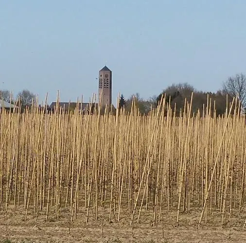 Perron 22 Bed & Breakfast